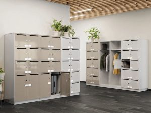 tu-locker-gia-re-3