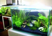 10. Tự làm mọi thứ dù thiếu kinh nghiệm