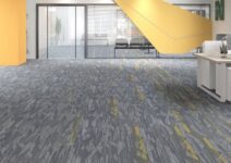 Thảm trải sàn văn phòng đang ngày càng được ưa chuộng