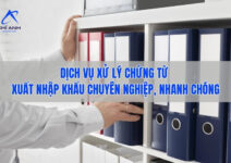 dịch vụ xử lý chúng từ